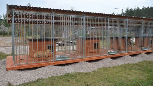 Psiaki dostały nowe boksy