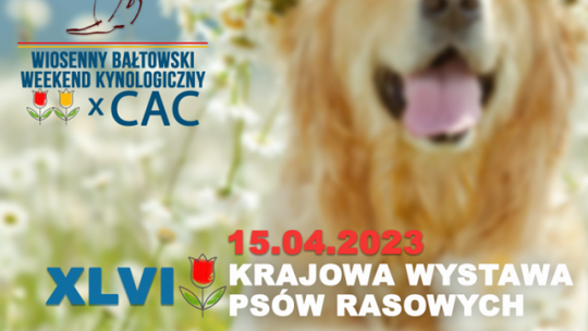Psie piękności zaprezentują się na Wiosennym Bałtowskim Weekendzie Kynologicznym 