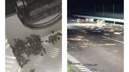 Pszczoły i ule na drodze. Zderzenie na S7 [WIDEO]