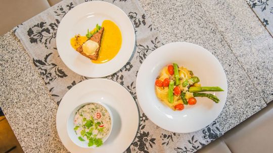 Radom Food Fest: Green Zebra