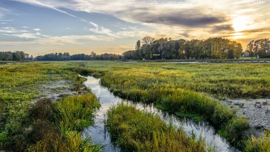 Radom jesienią malowany