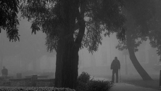 Radom oczami fotografów