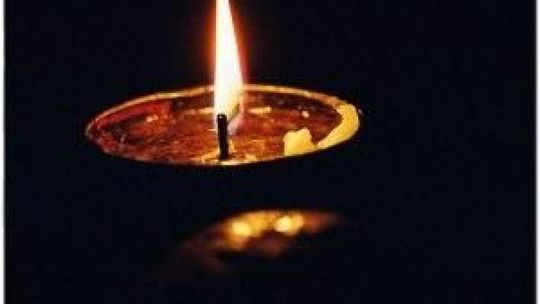 Radom solidarny z Francuzami