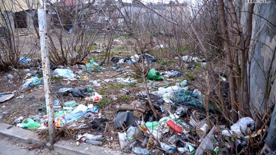 Radom w śmieciach! 120 działek do posprzątania!