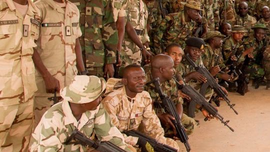 Radomska broń podbija Afrykę