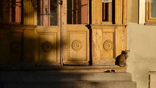 Radomskie dzielnice - Stare Miasto