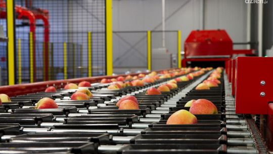 Radomskie firmy - Sorter