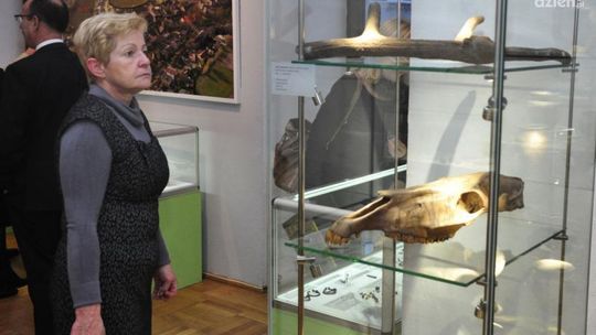 Radomskie muzea wyróżnione