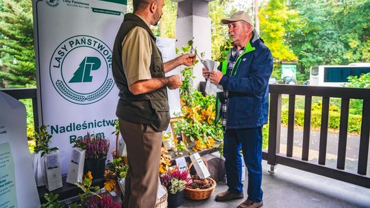 Radomskie nadleśnictwo rozdaje sadzonki. To ogólnopolska akcja #sadziMY