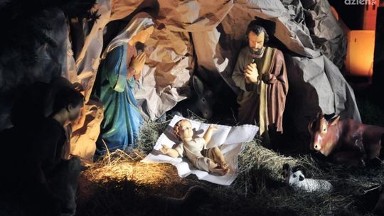 Radomskie szopki - ZOBACZ ZDJĘCIA