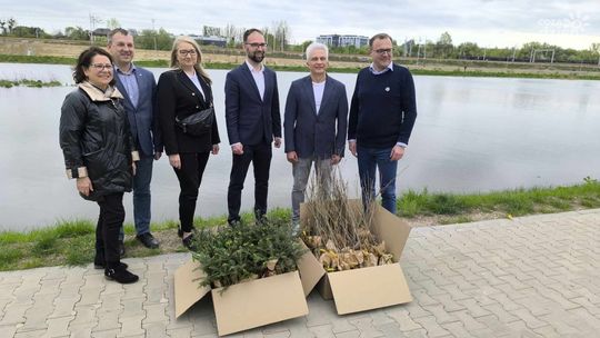 Radosław Witkowski chce tworzyć miejsce zielone. W sobotę będzie rozdawał sadzonki drzew