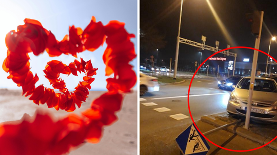 Randka na drodze: pocałunek na skrzyżowaniu, ucieczka przed strażą miejską i 2,5 promila alkoholu