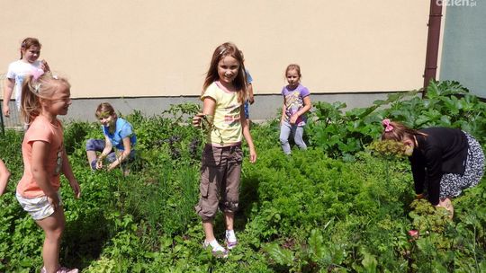 Razem dla środowiska w PSP 26