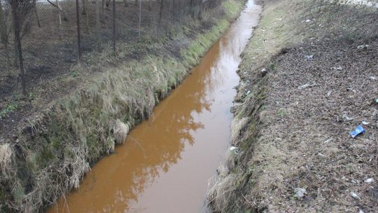 Rdzawa Mleczna. Czyszczą kolektor
