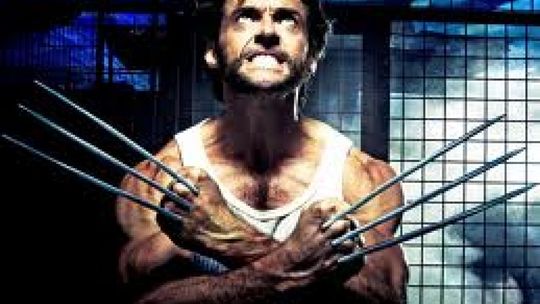 Recenzja na lato - "Wolverine"