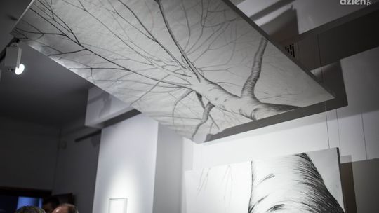 Refleksy ponowoczesności w Łaźni