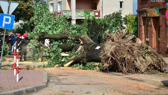 REGION: Ponad 1 mln zł na usuwanie skutków żywiołów