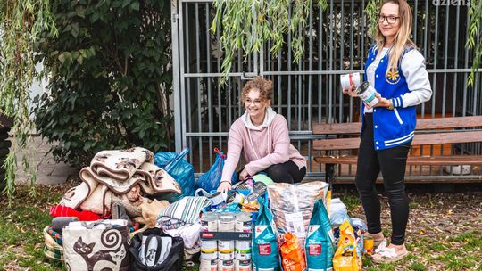 Rekordowa zbiórka dla schroniska zakończona sukcesem