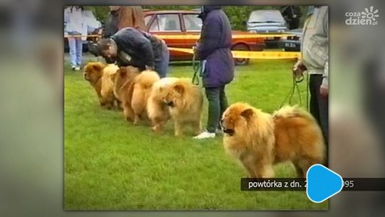 Retrodziennik z dnia 22 maja 1995 r.