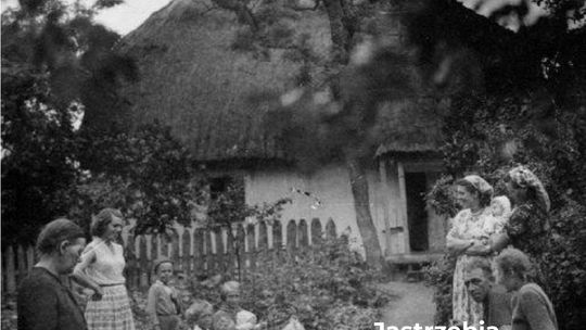 Retrospekcje. Powiat Radomski. Nowy projekt Projekt Powiatowego Instytutu Kultury