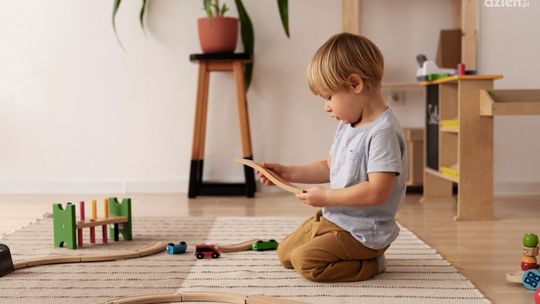 Rodzaje zabawek drewnianych - jakie kupić?