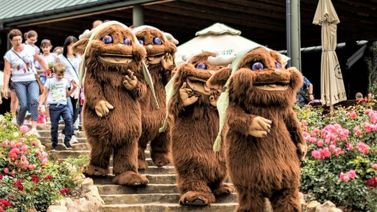 Rodzina, przyroda, przygoda!