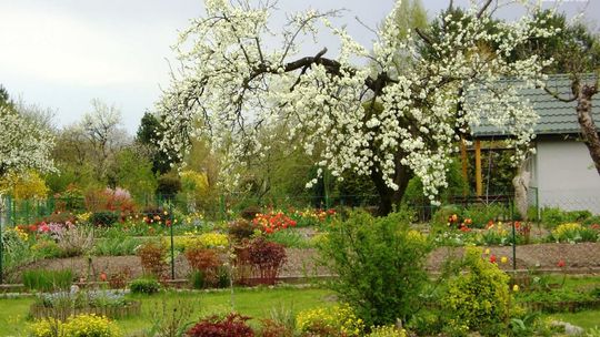 Rodzinne Ogrody Działkowe z dofinasowaniem