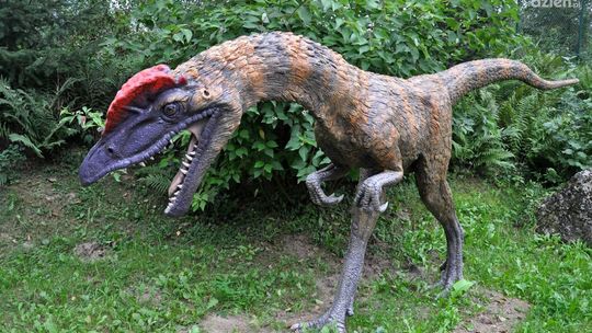 Rodzinny wypad godzinę drogi od Radomia. Gdzie spędzić udany weekend?