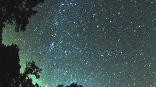 Rój Perseidów nad Radomiem. Skąd obserwować?