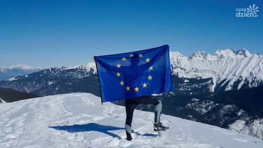 Rola programów wpierających rozwój firm w nowoczesnej gospodarce