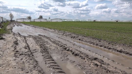 Rolnicy liczą straty