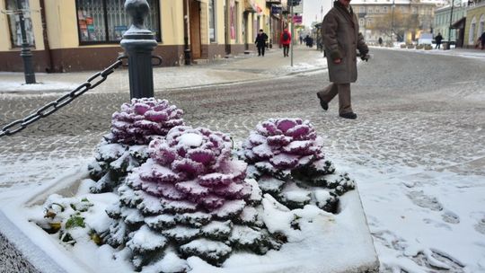 Rośnie liczba ofiar mrozów w Polsce!
