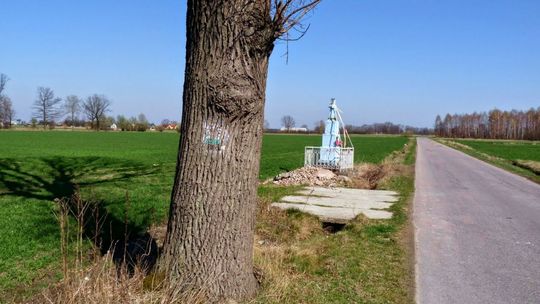 Rowerowe szlaki wokół Radomia - cz. II