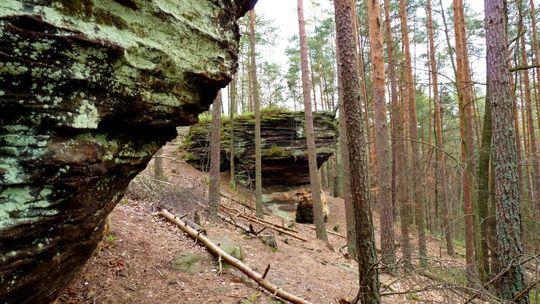 Rowerowe szlaki wokół Radomia - cz. III