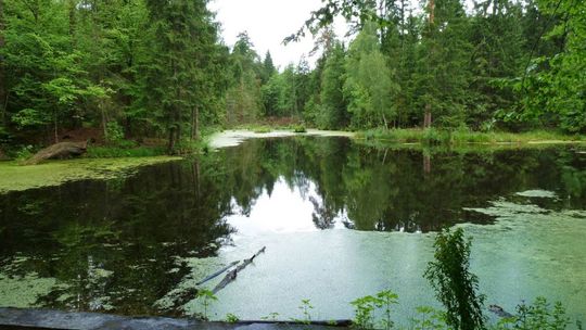 Rowerowe szlaki wokół Radomia - cz. V