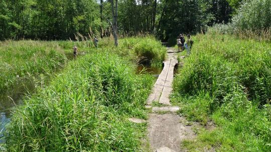 Rowerowe szlaki wokół Radomia - cz. VI
