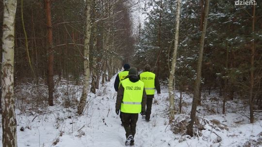 Rusza akcja "Choinka-Kłusownik"