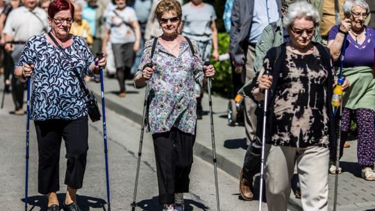 Rusza kolejna edycja zajęć Nordic Walking
