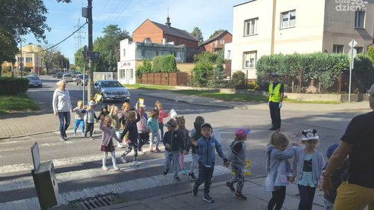 Ruszyła akcja „Kierowco! nie polujemy na zebrach”