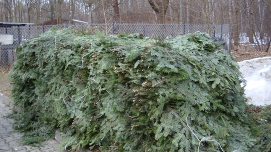 RUSZYŁA AKCJA STROISZ!