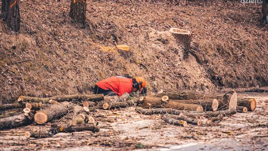 Ruszyły prace przy przebudowie ul. Szydłowieckiej