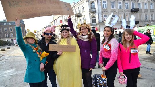 Ryanair rozdał bilety  lotnicze na deptaku