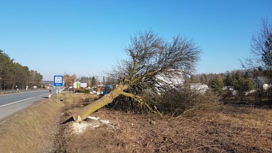 S7. Pierwsze prace rozpoczęte