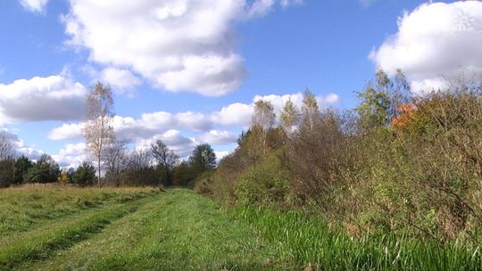 Są plany budowy masztu telekomunikacyjnego w Orońsku. Mieszkańcy protestują
