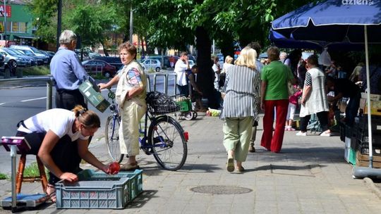 Sanepid przestrzega przed kupowaniem warzyw – nowalijek