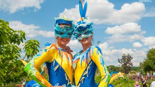 Sekrety Bulwiaków w Magicznych Ogrodach!