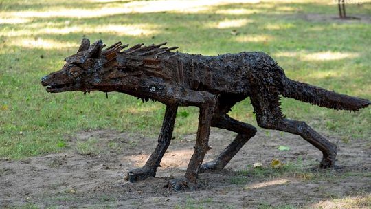 Siedem rzeźb zwierząt autorstwa Marioli Wawrzusiak-Borcz pojawiło się na terenie Pionek