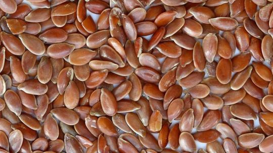 Siemię lniane – zdrowy sprzymierzeniec odchudzania