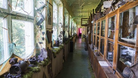 Sierpniowe Pola Chwały. Festyn wojskowy w Studziankach 