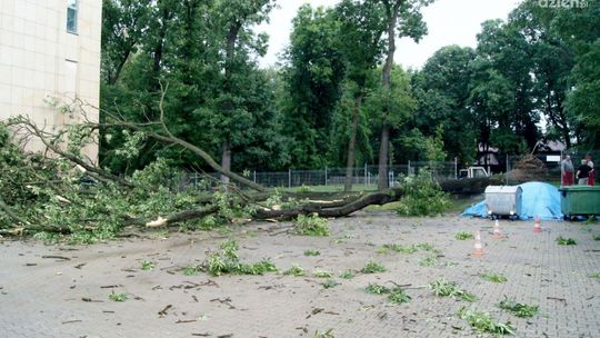 Silny wiatr. Pięć zdarzeń w regionie radomskim